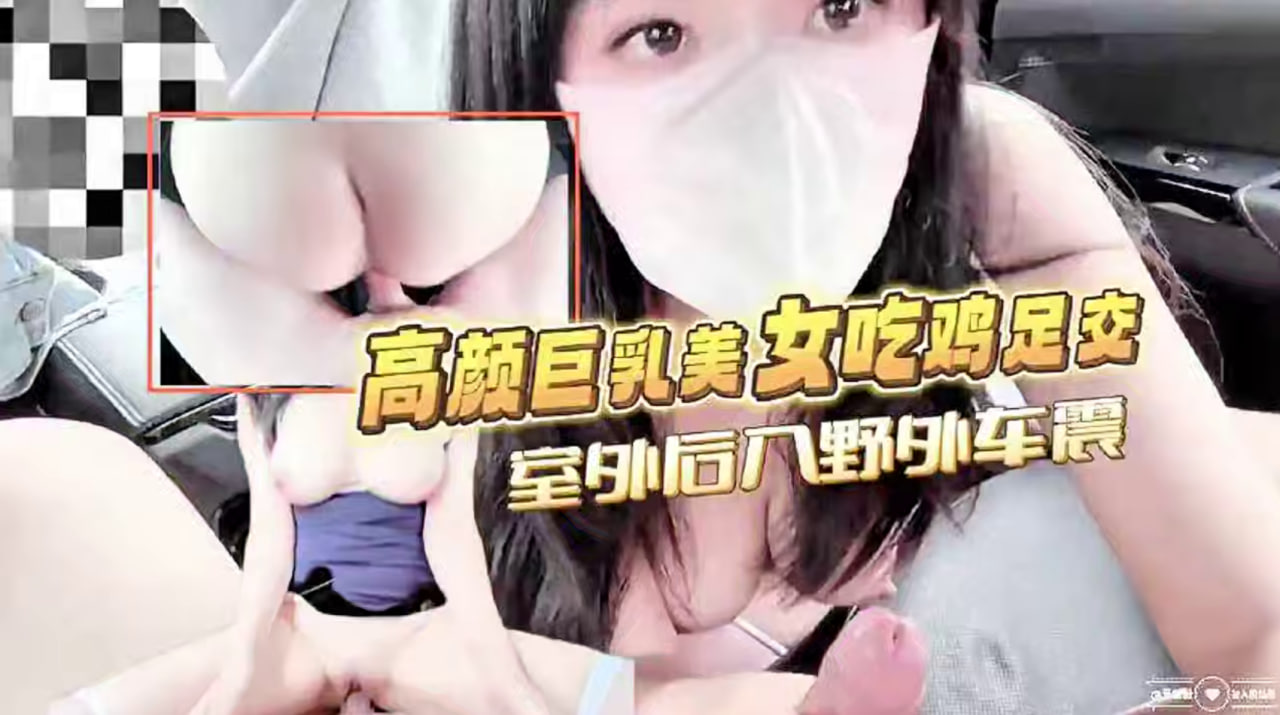 高颜值巨乳美女吃鸡足交，室外后入野外车震，这天然漂亮奶子真的绝了